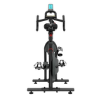 Bicicleta ciclo indoor magnética MT6